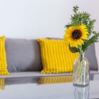 Apartamento Barrerillo 5 - 334 - 3