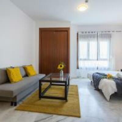 Apartamento Barrerillo 5 - 334 - 4