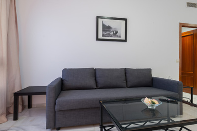 Apartamento Barrerillo 5 - 238  - 2